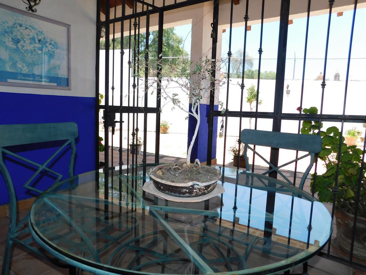 Casa Erizo 39 (Adults Only) Guanajuato Exterior photo